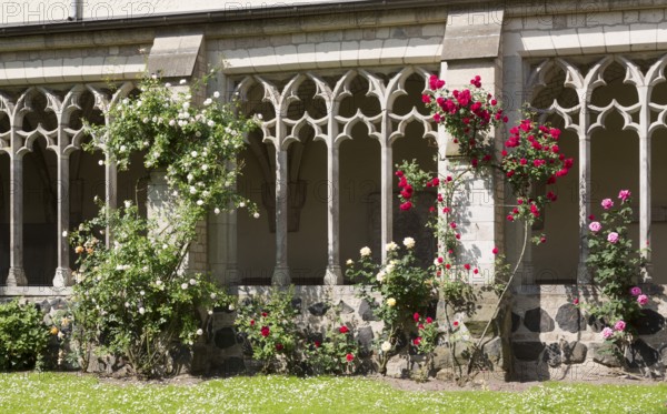 Cloister with roses, St., Saint, Saint