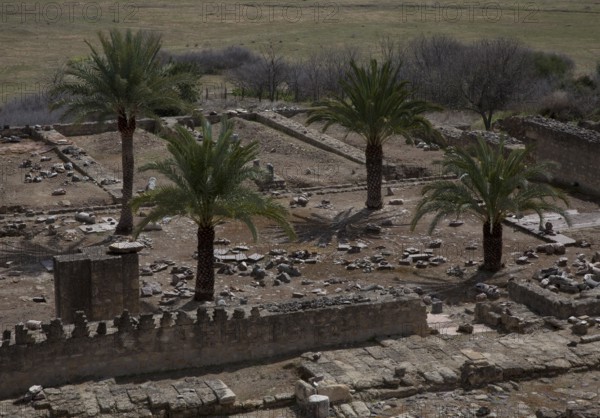 Medina Azahara, ruins of the palace city. Ruin of the mosque detail
