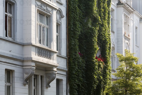 Wilhelminian style house facades, House covered with ivy