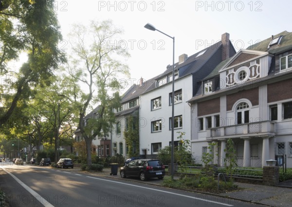 Robinia avenue with gaps between trees, Villa Merländer on the right, built in 1924-1925 by