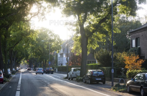 Krefeld, Friedrich-Ebert-Straße, view to Bismarckplatz