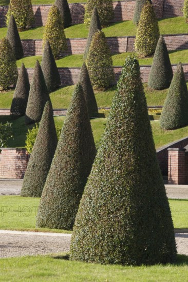 Terraced garden, view of the terraces from the south