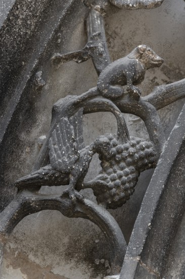 Chaumont, Basilica of St-Jean-Baptiste, portal on the south transept, figurative archivolts, vines