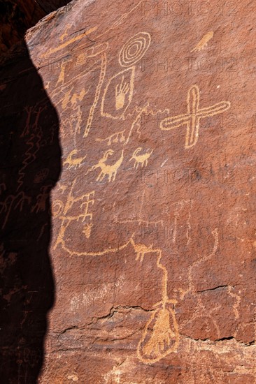Atlatl Rock with rock carvings of the Nuwu and Southern Paiute, petroglyphs, Valley of Fire State