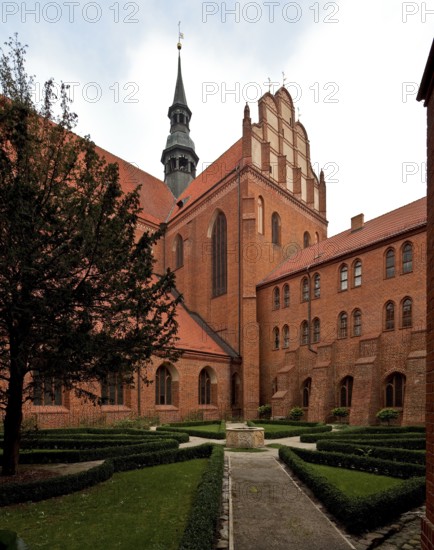 Former Cistercian church, cloister courtyard with a view of the south transept from the south-west,