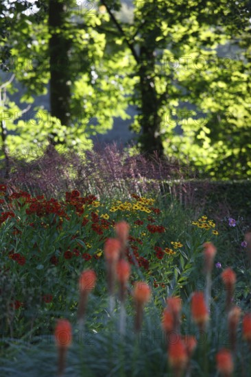 Moyland, Castle Park