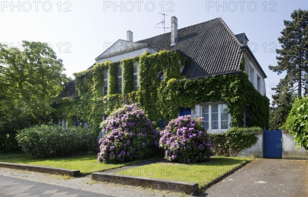 Krefeld, artists' houses in the Windmühlenstraße