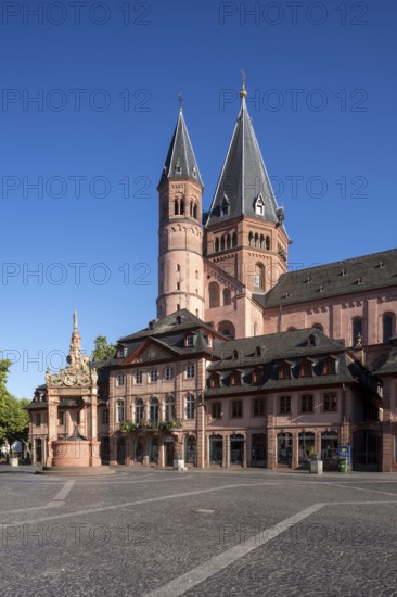 Mainz, St Martin's Cathedral, north side with baroque houses and market fountain