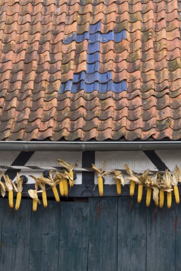 Barn with cross made of roof tiles and corn cobs