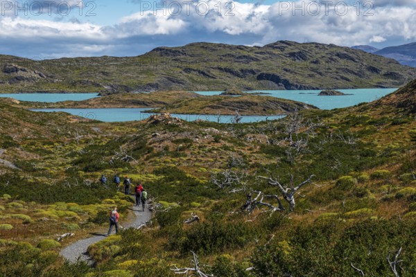 Trekker in front of Lagunas Melizas, Torres del Paine National Park, Patagonia, Chile, South