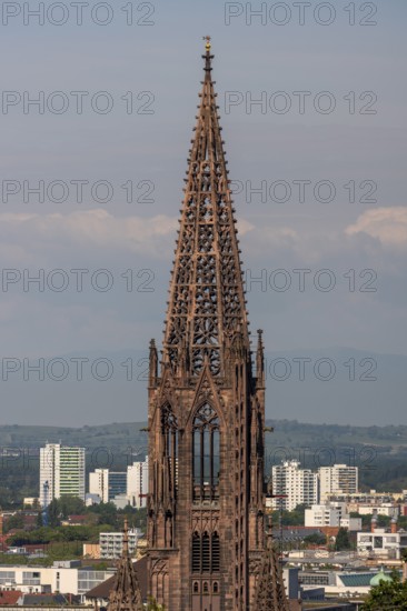 Freiburg im Breisgau, Cathedral of Our Lady, tower from the east