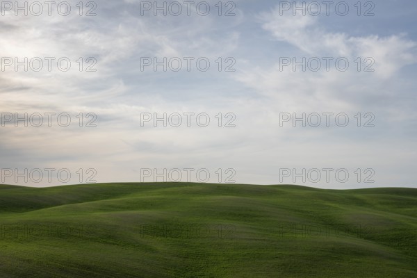 Near Montalcino, hilly landscape