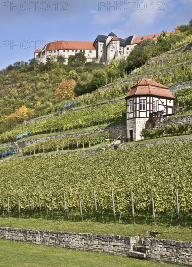 Freyburg/Unstrut, Neuenburg Castle and ducal vineyard
