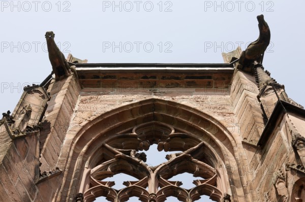 Gargoyle, Saint, Saint
