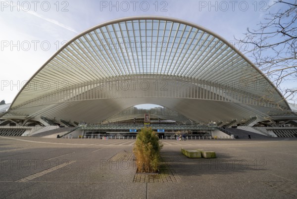 Liège, Liège-Guillemins railway station, design 2009 Santiago Calatrava, station forecourt