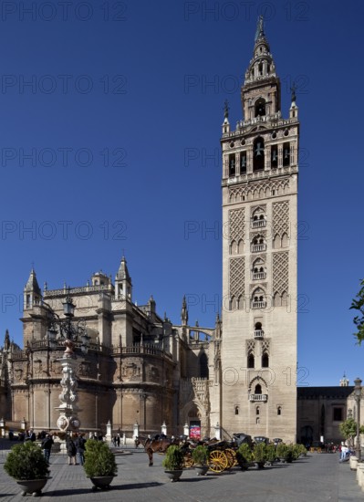 Seville, Cathedral. Seville Cathedral with bell tower, St, Saint, Saint