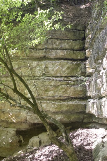 Medieval Kapfelberg quarry, Teugn, stones were quarried here in the Middle Ages for building the