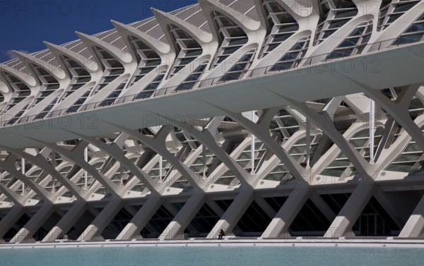 City of Arts and Sciences (cat./val. Ciutat de les Arts i de les Ciències), MUSEO DE LAS CIENCIAS,