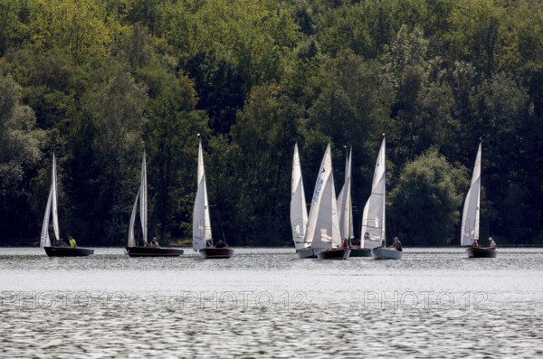Sailing regatta of the SCV Segelclub Ville, Zugvogel, Schwertzugvogel