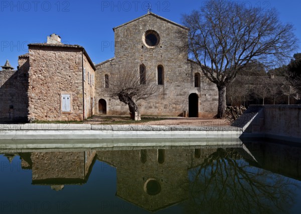 Cistercian monastery founded in 1146, church of West, St., Saint, Saint