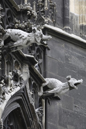 Gargoyle on the south side, St., Sankt, Saint