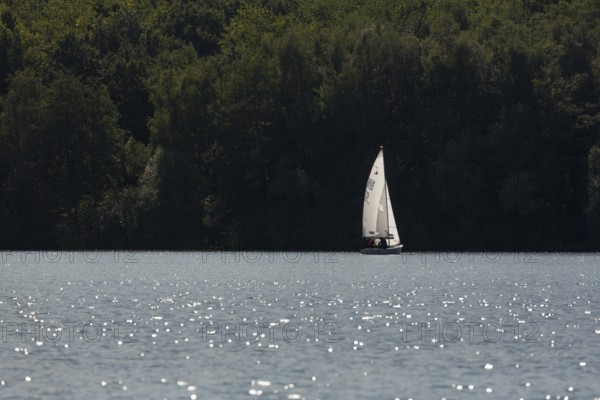 Sailing regatta of the SCV Segelclub Ville, Zugvogel, Schwertzugvogel