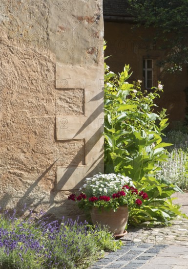 Herb garden between Abthaus and Infirmerie