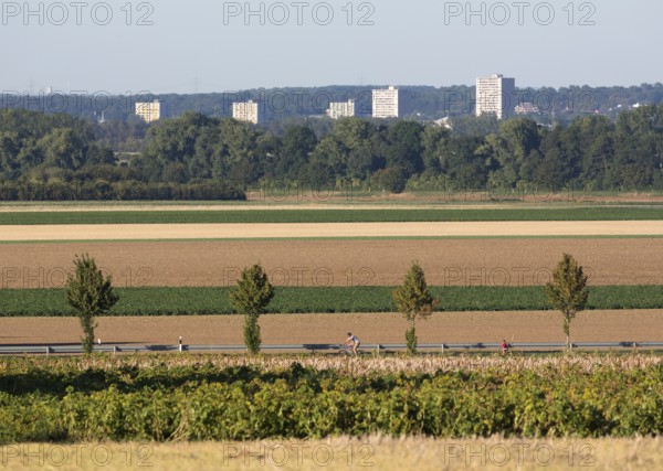 Erftstadt, view from the Römerstraße near Friesheim to the tower blocks in Liblar