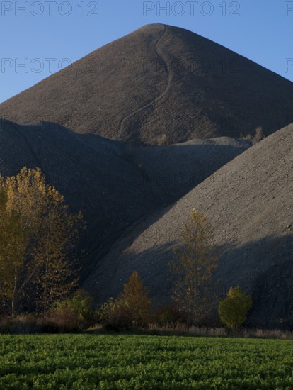 Copper slate mining spoil heap near Polleben