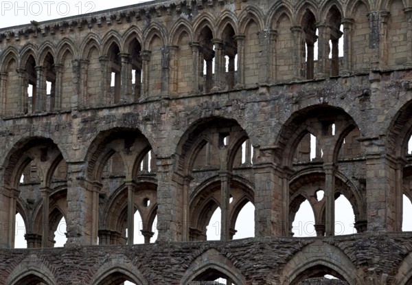 Longhouse south wall from the south, St., Sankt, Saint