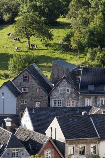 Kornelimünster, roofscape with cow pasture