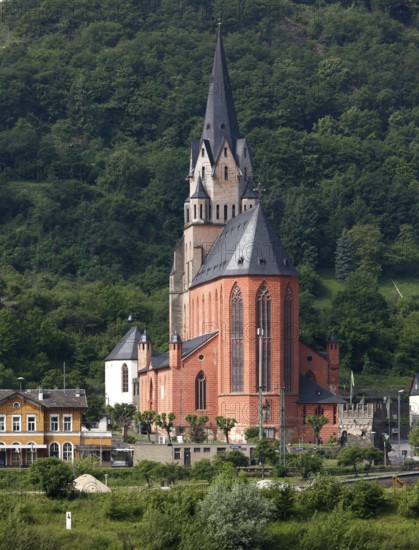 View over the Rhine, St., Sankt, Saint