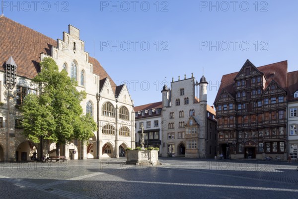 Hildesheim, market square with town hall, Tempelhaus, and Wedekindhaus