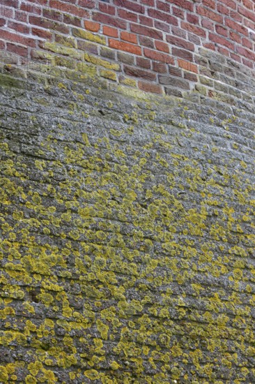 Moyland, castle park in spring