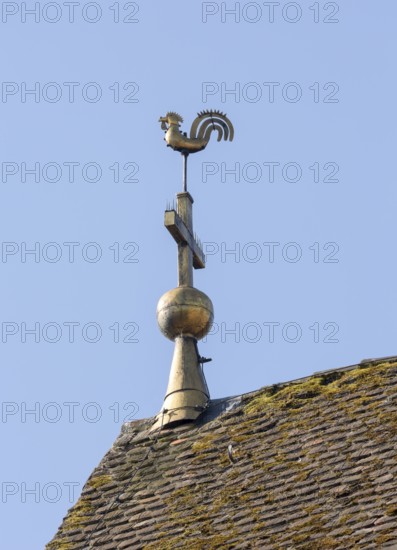 Constance, Minster, Late Gothic weathercock above the choir gable