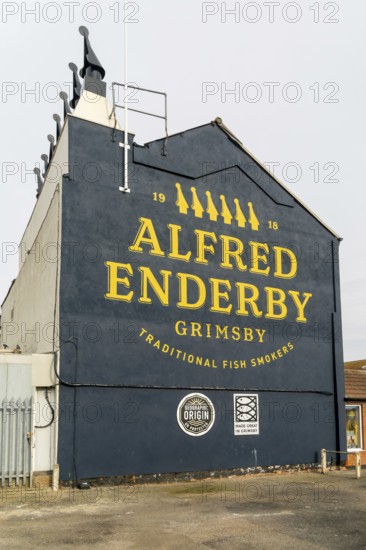 Alfred Enderby traditional fish smokers, Grimsby docks, north east Lincolnshire, England, UK