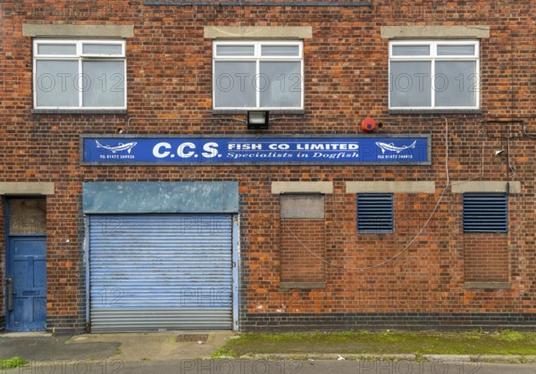 Fish company premises specialists in dogfish, Grimsby docks, north east Lincolnshire, England, UK