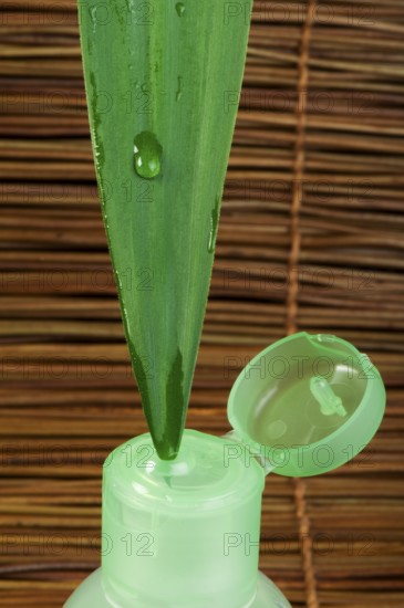 Green cosmetic bottle, green leaf and drop