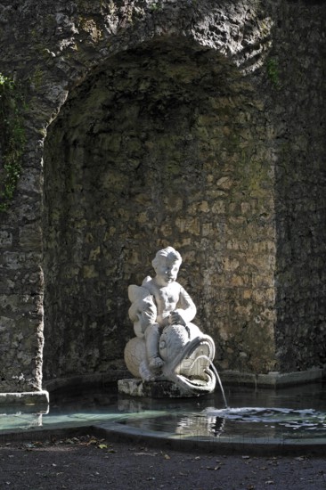 Fountain with cherub and fish