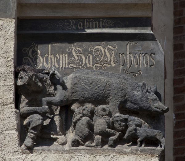 Wittenberg town church 79635 Sandstone relief with the so-called Judensau 79635 refers to the