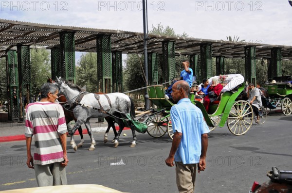 UNESCO World Heritage Site, Marrakech, Morocco, Carriage with horses travelling on a busy city