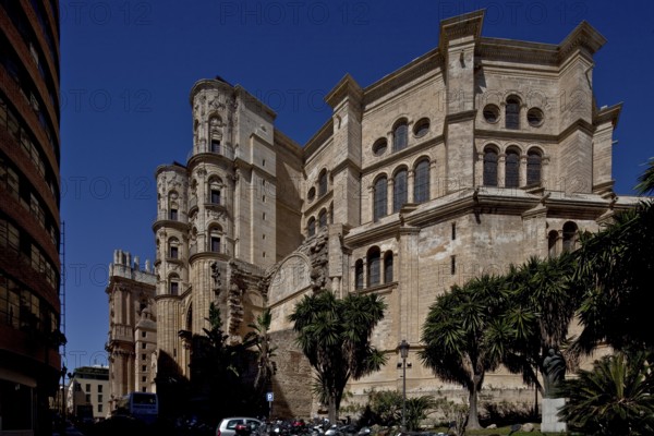 Spain Andalusia Málaga Cathedral 52693