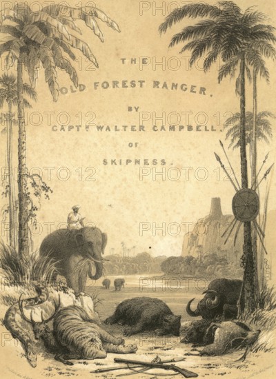 Hunting & animal views, the old forest ranger, India, Asia