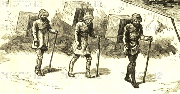 Coolies carrying tea, India, Asia