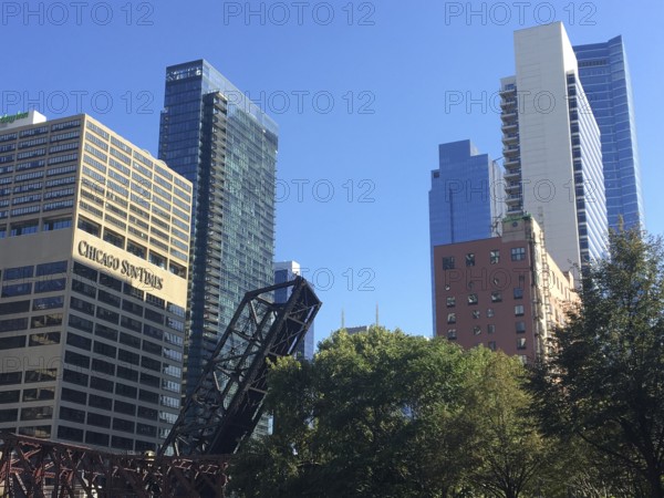 High-rise buildings and urban architecture with trees in the foreground for a natural atmosphere,