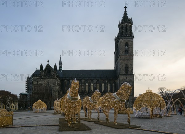Magdeburg Domplatz 3801 at the back of the cathedral on the square Light sculptures depicting the