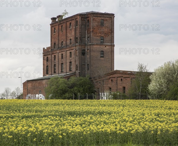 Krostitz Krs Nordsachsen Bildnr1865 decommissioned part of the brewery - barley building 2 right in