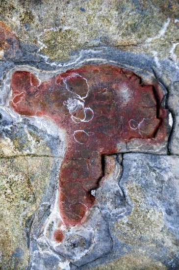Graphic and exotic formation of rocks, California, USA United States of America