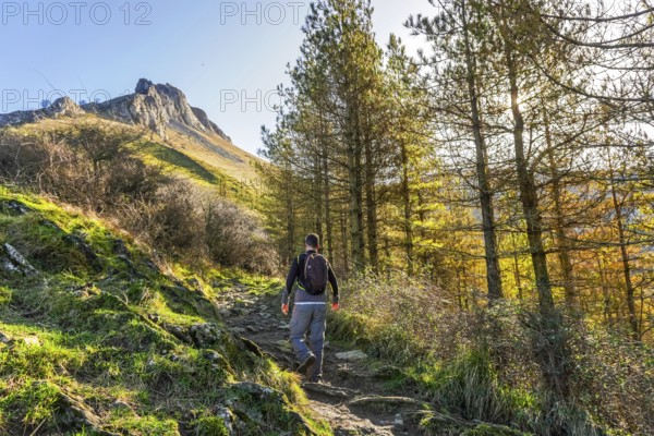Male hiker walking a rocky path through pine trees on the slopes of mount txindoki in gipuzkoa,