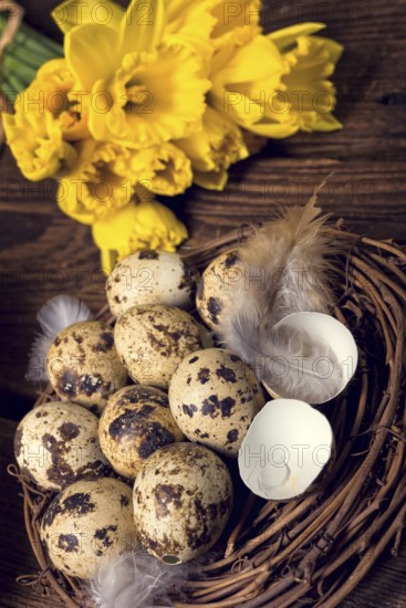 Easter eggs and daffodils